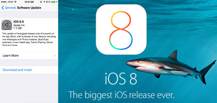 ios8-shark.jpg