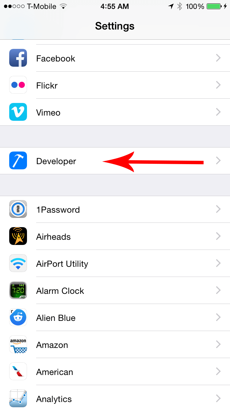 iPhoneSettings---Developer.png