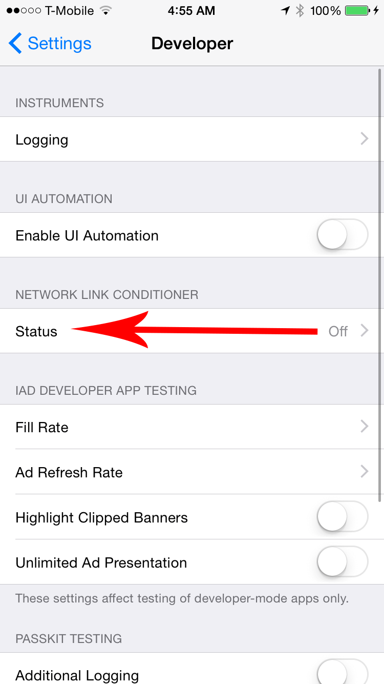 iPhoneDeveloperSettings---NLC.png